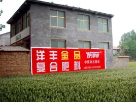  西乡如何让墙体广告展现最大化效果