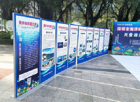  西乡KT板的种类和知识。